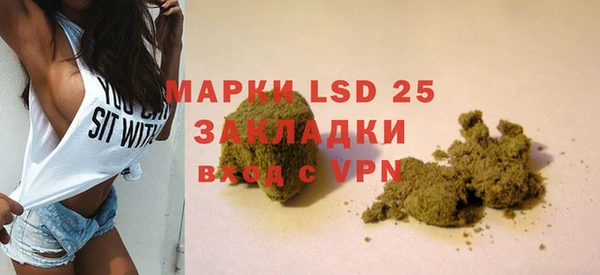 ГАЛЛЮЦИНОГЕННЫЕ ГРИБЫ Алзамай