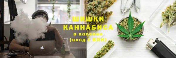 ГАЛЛЮЦИНОГЕННЫЕ ГРИБЫ Алзамай