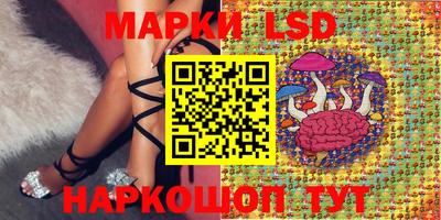 гашик Ярославль